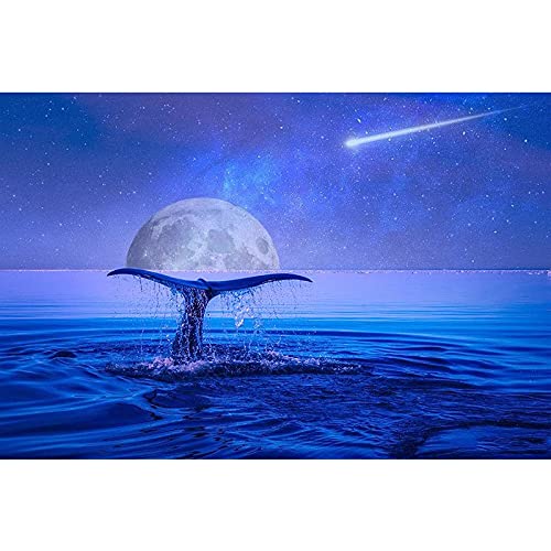 Grand format broderie diamond painting complet cristal strass météore 40x100cm haut de gamme