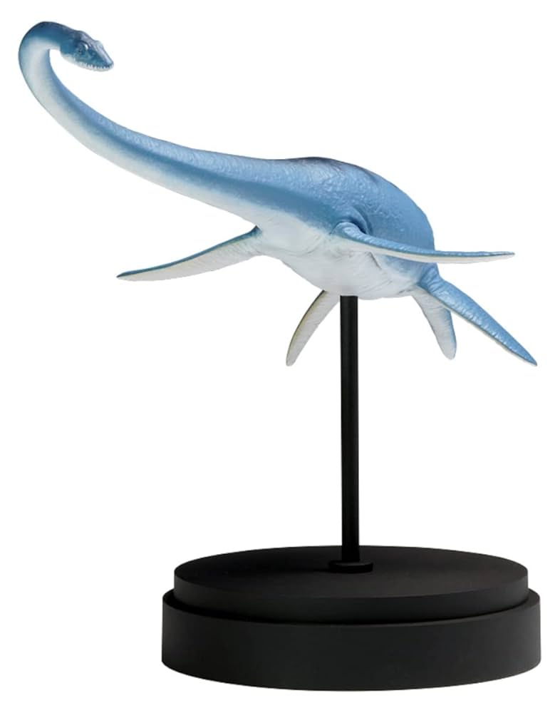 極完全美品‼️PSA‼️コレクション用‼️早い者勝ち‼️大幅値下げ‼️特別価格‼️ Amazon | ウェーブ 1/35 フタバスズキリュウ 全長約23cm