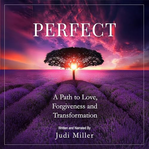 Perfect Audiolibro Por Judi Miller arte de portada