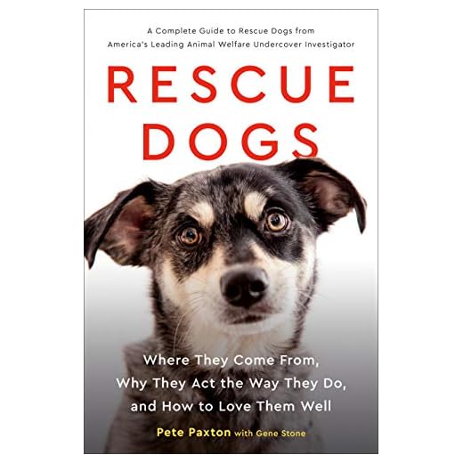 Rescue Dogs: Where They Come From, Why They Act the Way They Do, and How to Love Them Well