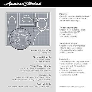 American Standard 2989.813.020 Toilet, White American Standard 2989813020 Toilet White