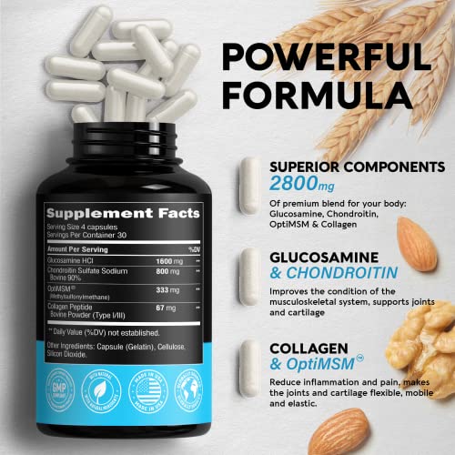 Nutraharmony Cartilage Joint Flexibility & Energy Focus Mood Brain Health #TOP1