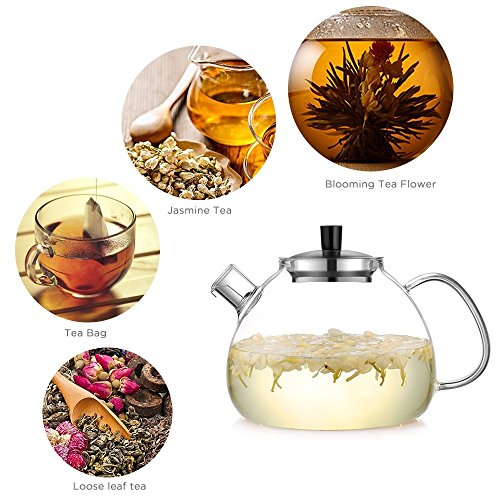 ecooe Teekanne aus Glas mit Teesieb 1500 ml, hitzebeständige Teekanne aus klarem Glas mit herausnehmbarem Edelstahl-Teesieb, für schwarzen Tee, Grüntee, duftenden Früchtetee