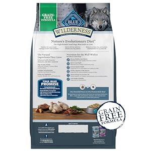 Blue Buffalo Wilderness Grownup Excessive-Protein Dry Canine Meals with Actual Hen, Grain-Free, Made within the USA with Pure Components, Hen, 24-lb. Bag