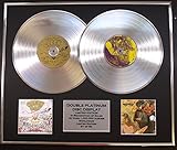  GREEN DAY/Zweifache Platin Schallplatte DISPLAY/Limitierte Edition/COA/DOOKIE & INSOMNIAC