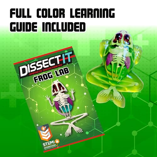 Image of Top Secret Toys Dissect-It Mini Labs Frog Dissection Kit for Kids, Realistic Synthetic Kids Science Kit - On, Biology and Animal Anatomy, STEM Toy, Ages 6+