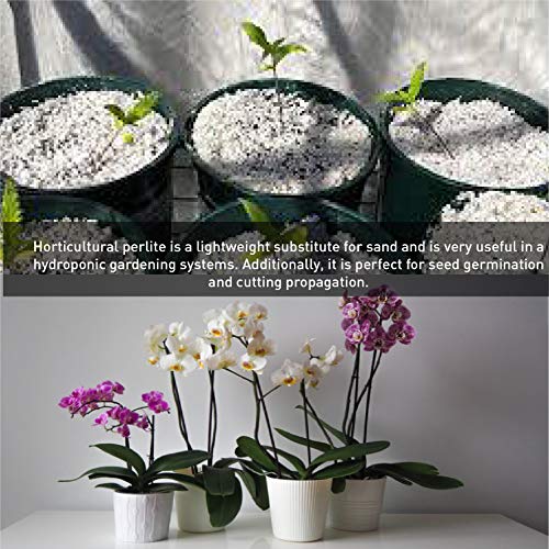 PVP Organic Perlite Planting Soil Additive - Image 7