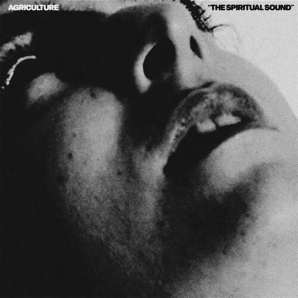 The Spiritual Sound [VINYL]