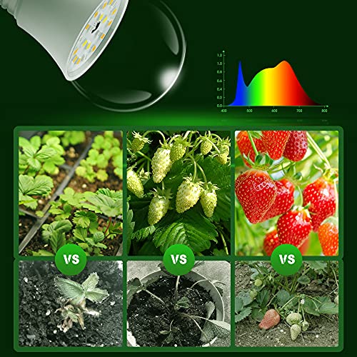 Weegrow Grow Light Bulbs, Led Grow Light Bulb A19, Full Spectrum Grow Light Bulb, Plant Light Bulb E26, 100W Equivalent 11W Grow Bulb Red & Blue, Grow Light For Indoor Plants, Seed Starting, 6 Pack #TOP3