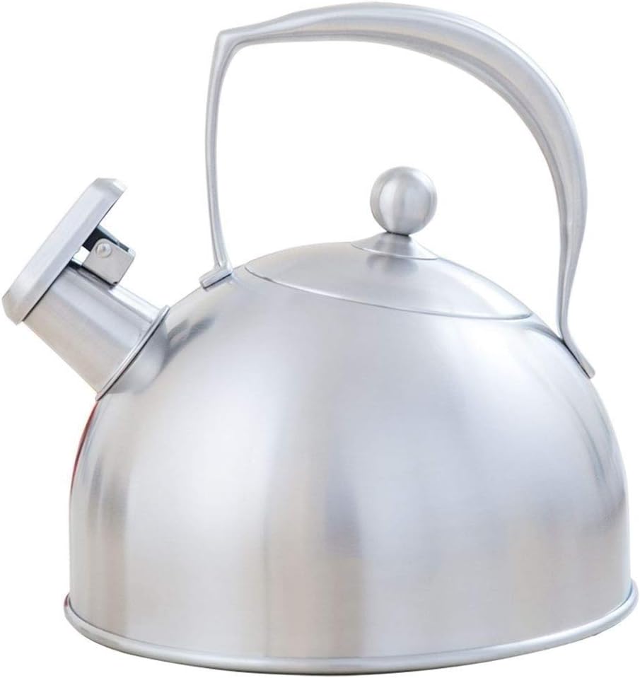 Stove-top Stainless Steel Hot Water Kettle with Ergonomic Handle Whistling