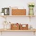 StorageWorks Hand-Woven Storage Baskets, Imitation Wicker Baskets for Shelves, Walnut, Set of 3 (1PC Large, 2PCS Medium)