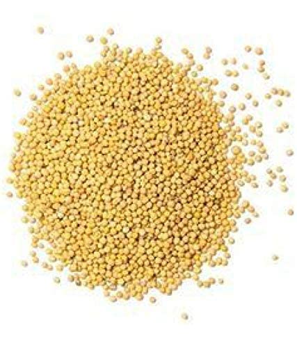VEDHAHI White Mustard, Quality Rai, Naturally Processed, from Farm Picked Fresh Seeds (100gm) (B0B127FHNZ) Amazon Price History, Amazon Price Tracker