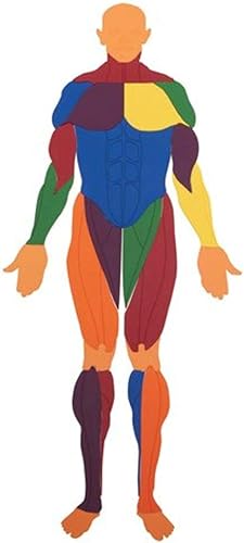 US Games Mr. Muscles Puzzle