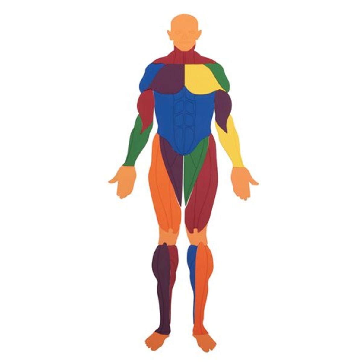 US Games Mr. Muscles Puzzle