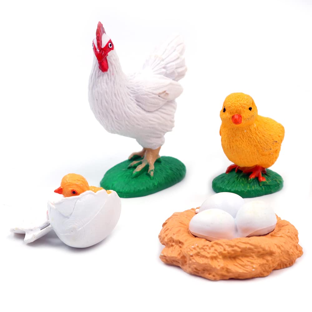 Wangcl Multicolor Chick Life Cycle, Highly Simulation Animal Life Cycle 4 Part Animal Learning Model Educational Toys For Toddlers