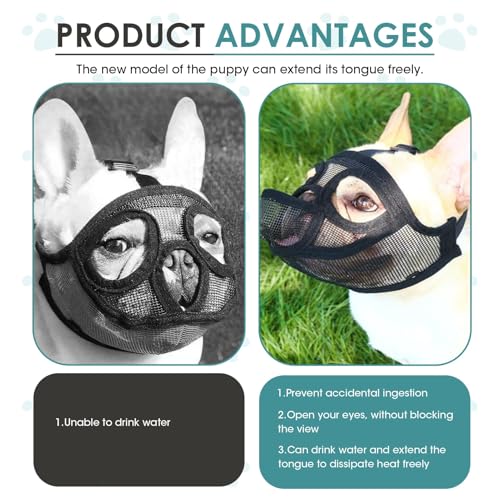 Französische Bulldogge Maulkorb, Maulkorb Kleine Hunde Maulkörbe Giftköderschutz Hund Mesh Dog Muzzle Anti Biting Kauen Bellen Hundemaulkorb mit Abgeflachter Schnauze Deutscher, 5,4–12,2 Kg (S)