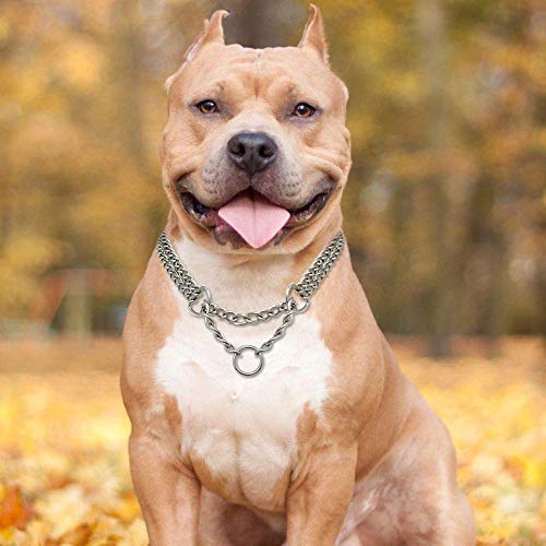 RvPaws 2 Layer Dog Choke Chain Martingale Collar -24 Inch Collar Silver Color, 2 Layer Dog Choke Chain Silver (B09XK6G34B) Amazon Price History, Amazon Price Tracker
