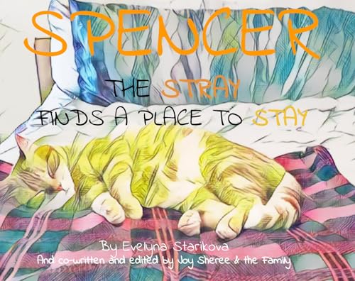 Spencer the Stray Finds A Place to Stay (English Edition)