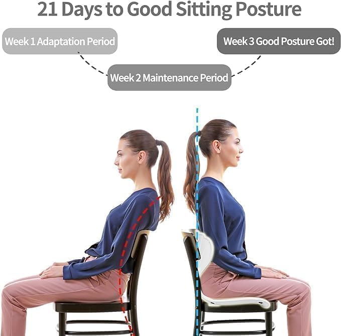 Image of Folding Ergonomic Lumbar Back Support with Seat Cushion - Orthopedic Posture Corrector for Lower Back Pain Relief, Spine Backrest Support for Office Chair, Floor Seating, Home Use (Black)