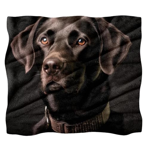 \t@pX[uPbgApuPbg,O̍ uPbgA59x39.3C`