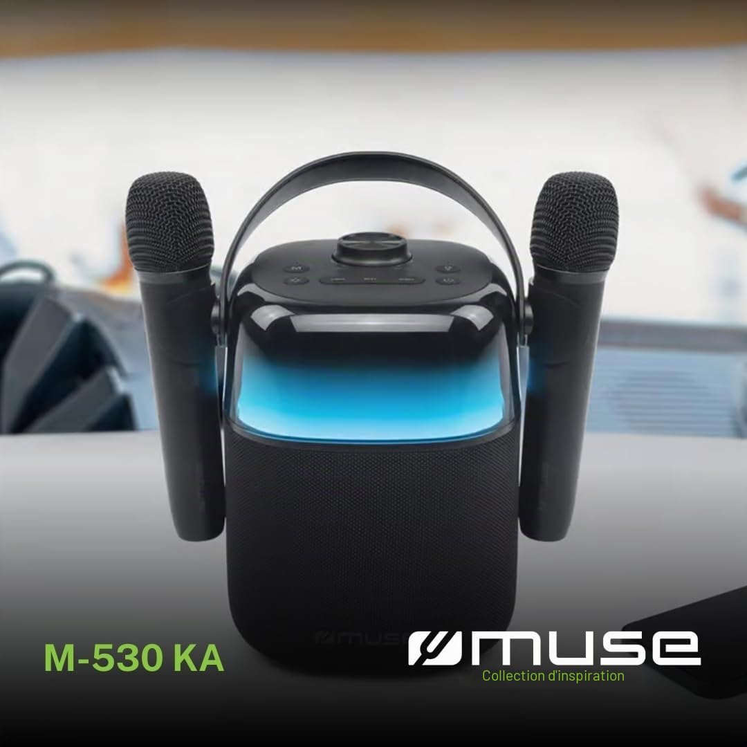 Enceinte Bluetooth Karaoké Noir - M530KA