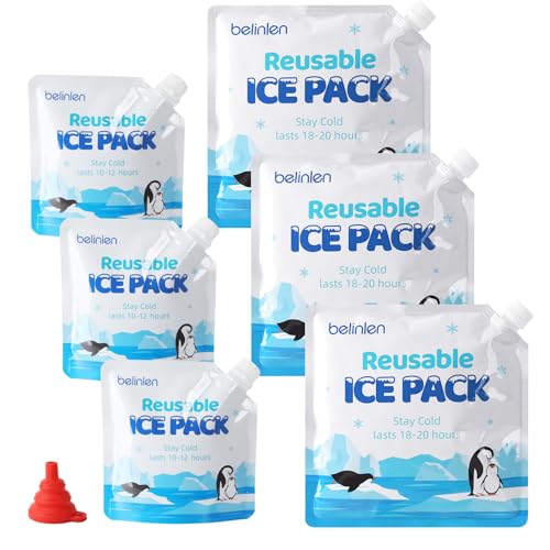 Blocs réfrigérants réutilisables glacière boîte déjeuner camping lot 6 accumulateurs froid