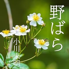 『野ばら』のカバーアート