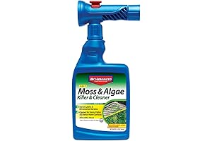 BioAdvanced 2-in-1 Moss and Algae Killer and Cleaner for Lawns