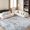 Amazon.com: Valenrug Washable Rugs 5x7 - Modern Abstract Grey Area Rugs ...