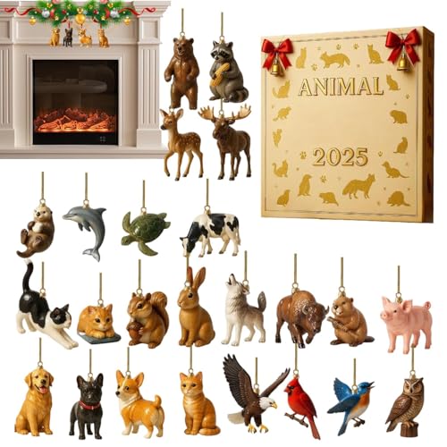 NX}XAhxg2025,2D AN fR[V 24  | JEg_E J_[ NX}X I[ig | ̂߂ փhA ItBX [X Ki ̘g }g     Q