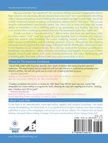 The Intuition Guidebook: How to Safely and Wisely Use Your Sixth Sense