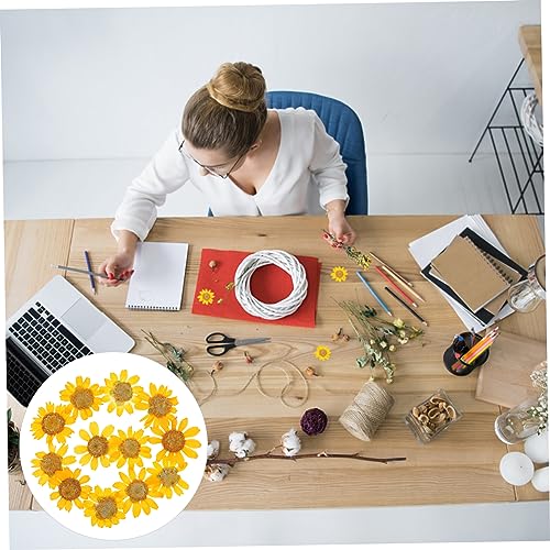 Flores prensadas naturales para manualidades 72 pcs miniatura 7