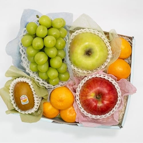 TOBIFRUt[clߍ킹 v~A  ăMtg  c t[c lߍ킹 ʕ t[cMtg yY 蕨 v[g  oY j j oYj   j a @ @v hV̓ 