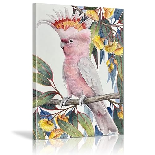 Affiche perroquet rose oiseau sur toile avec cadre encadré 40x60cm pour salon
