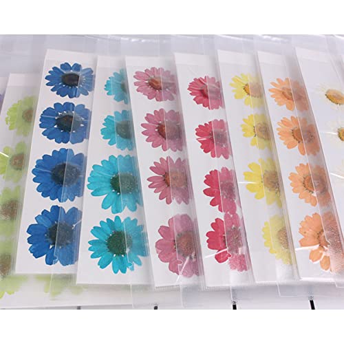 120 piezas flores secas naturales para manualidades miniatura 5