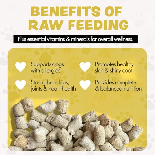 Image of Freeze Dried Dog Food for Small & Large Dogs, 16 Oz (500+Pieces) Chicken Dog Food Toppers for Picky Eaters, USA Made- Grain Free & All Natural Freeze Dried Treats Made with 96% Meat Organs