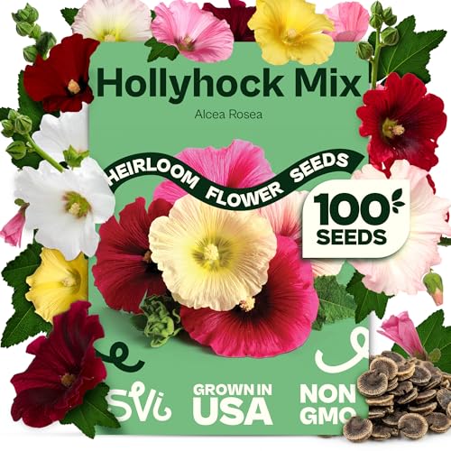 SVI 100 Mix Hollyhock Seeds (Alcea rosea) - Mallow Common Hollyhock Seed Packets Attracts Hummingbirds - Heirloom Flower Seeds for Outside & Inside Meadows Fences Beds