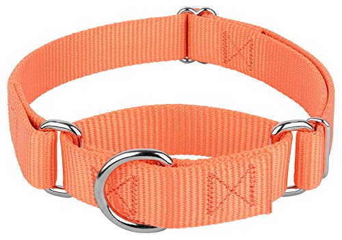Country Brook Petz - Martingale