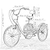 Comfort, Three Wheel Tricycle 24inch Cruiser Bike 7 Speed Adult Tricycle 3 Wheel Bicycles Adjustable with Shopping Basket & Seat Backrest Basket Pedal Cycling #1