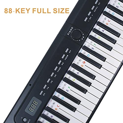 Autocollants amovibles pour clavier de piano 61 touches 88 touches - Les Beatles, Paul McCartney, John Lennon, RIngo Starr, George Harrison Autocollants amovibles pour clavier de piano 61 touches 88 touches – Image 6