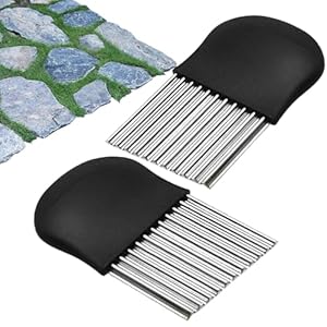 Jäter Unkrautwerkzeug-Satz von 2