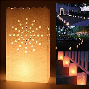 Diagtree 20 Pack Luminary Candle Bags Wishing Lanterns- Flame Resistant Light Holder (Firework)