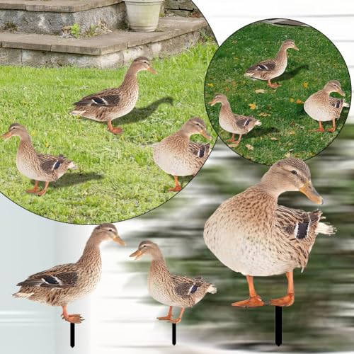 NEIQIUWING Canard décoratif de jardin en acrylique avec piquet pour jardin, pelouse et cour - Résistant aux intempéries - Double face - Design réaliste