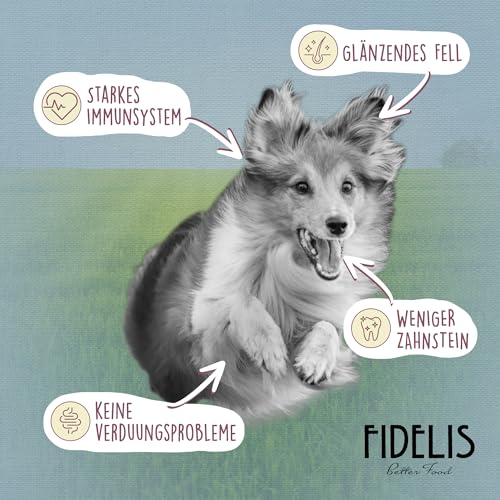 Fidelis - Rinderschlund getrocknet für Hunde 1000gr - Natursnack Leckerlis aus 100% natürlichen Rohstoffen - Hunde Leckerli für zwischendurch pflegt & stärkt das Gebiss - Ohne Konservierungsstoffe