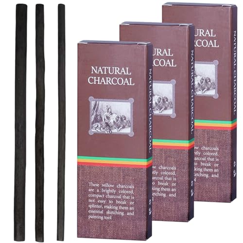 KASLCWA Juego de 34 Lápices de Carbón para Dibujo, Varillas Negras para Dibujar, Palos de Carbón Bosquejo, Lápices de Sauce para Principiantes, Diseñadores