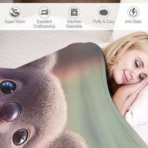 Tapis douillet en flanelle de qualité supérieure pour lit et canapé