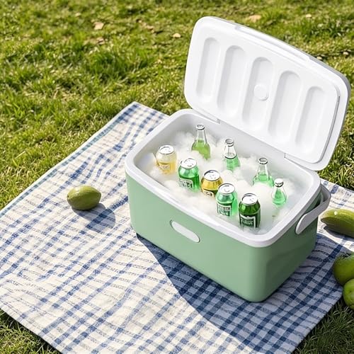 Genérico 8L nevera coche portátil, 5 niveles temperatura, termoeléctrico AC/DC, mini nevera 12V para vehículo, hogar, camping