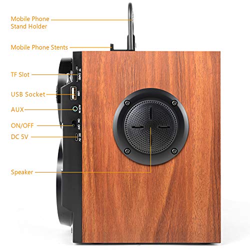 TAMPROAD Portable Bluetooth Speakers with woofer, FM Radio, LED Lights, EQ, Booming Bass, Bluetooth 5.0 Wireless Stereo Powerful Outdoor/Indoor Party Speakers for Home, Camping, Travel