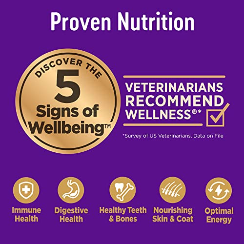 Wellness Natural Pet Food Complete Health Natural Dry Small Breed Healthy Weight Dog Food, Turkey & Rice, 4-Pound Bag #TOP2