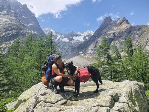 Aufbruch ins Freie: Meine wilden Bergabenteuer zu Fuß, mit Rad, Ski – und Hund